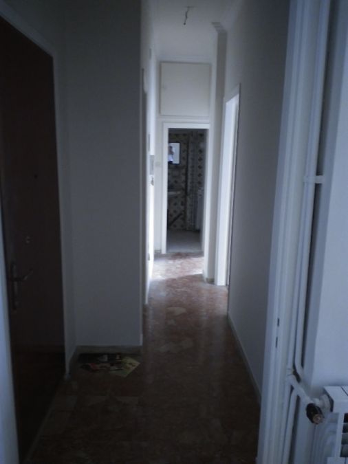 Photo 144170042