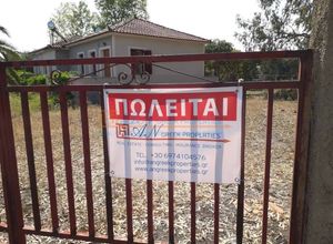 Συγκρότημα προς πώληση Σκάλα Καλλονής (Λέσβος - Καλλονή) 202 τ.μ.