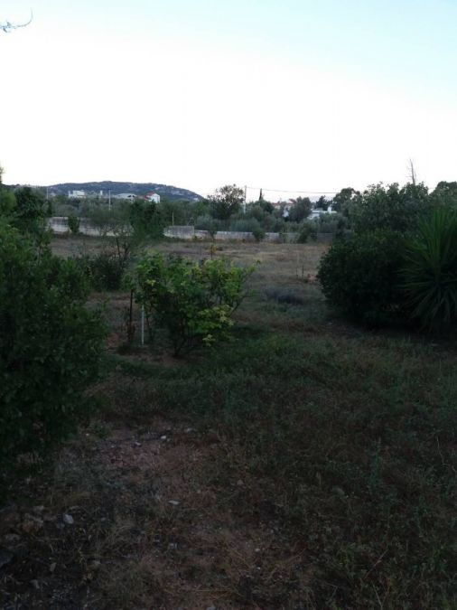 Photo 144421085