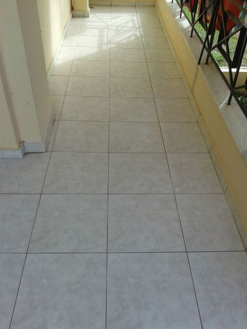 Photo 146310806