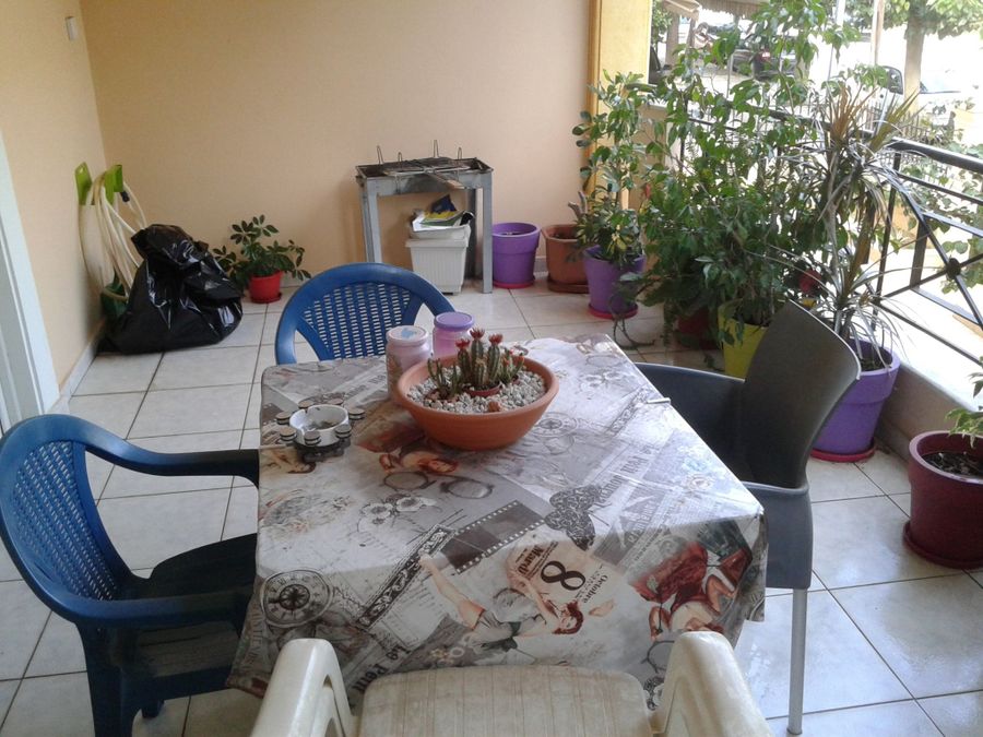 Photo 146310815