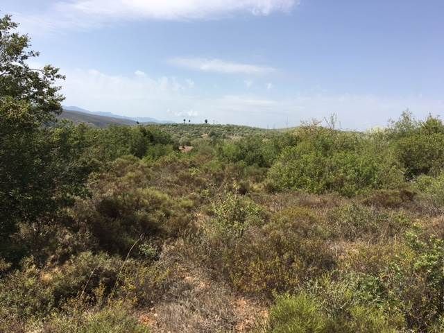 Sale, Parcel, 20000m² Lakonia, Skala | 5949508 | Spitogatos