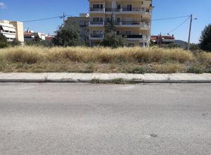 Photo 146519198