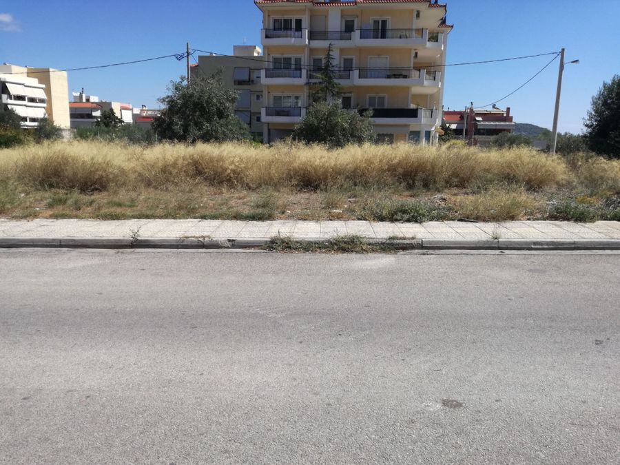 Photo 146519198