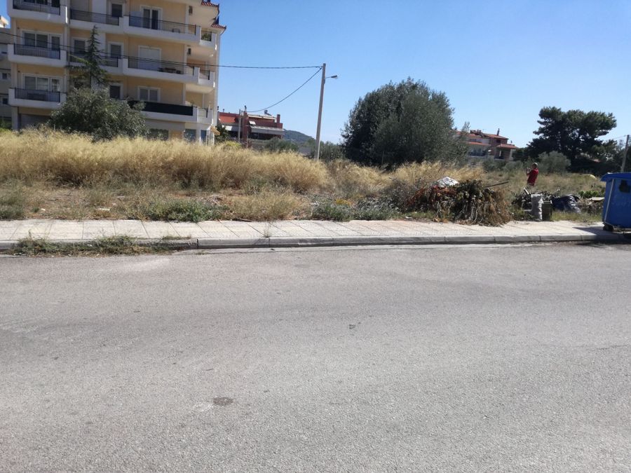 Photo 146519201