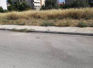 Photo 146519204