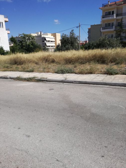 Photo 146519204
