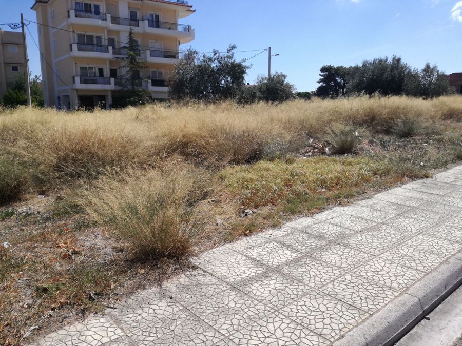 Photo 146519210