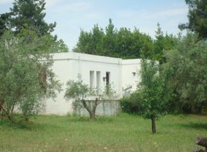 Μονοκατοικία προς πώληση Ανατολικος Όλυμπος 4.318 τ.μ. 3 Υπνοδωμάτια