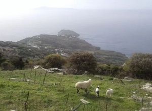 Plot Andros
