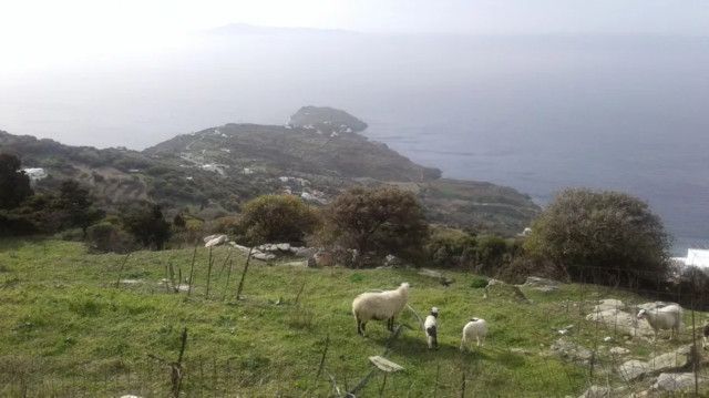 Plot Andros