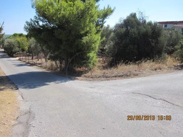 Plot Rafina