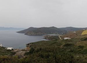 Plot Andros