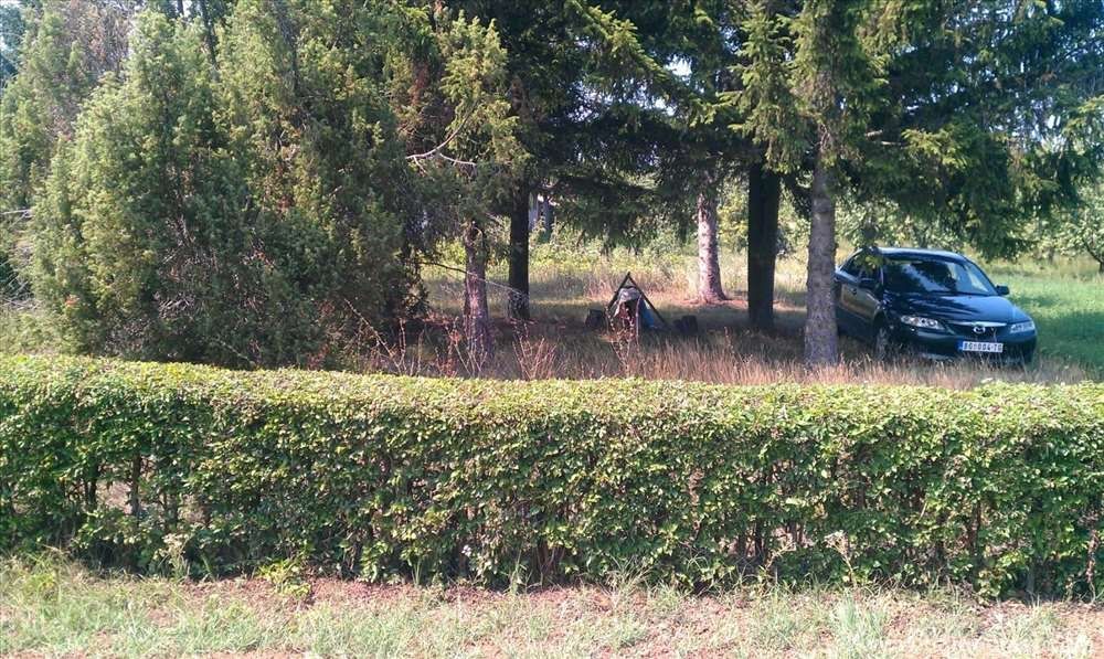 Farm Parcel For Sale 2000sqm 4 000 Kovacevac Indomio Rs