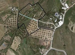 Plot Paros