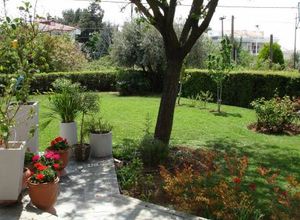 Detached House, Panorama