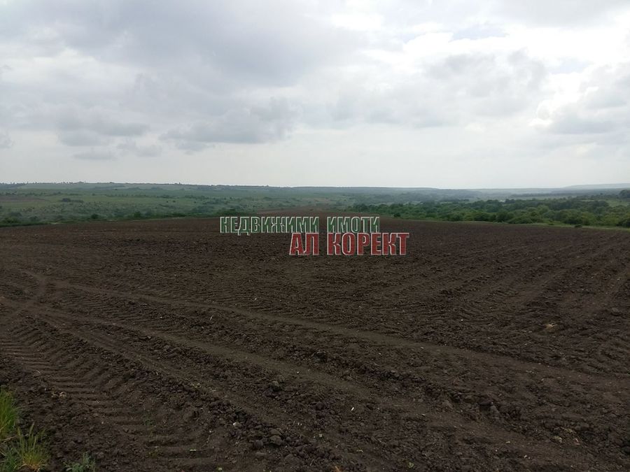 Снимка 191578202