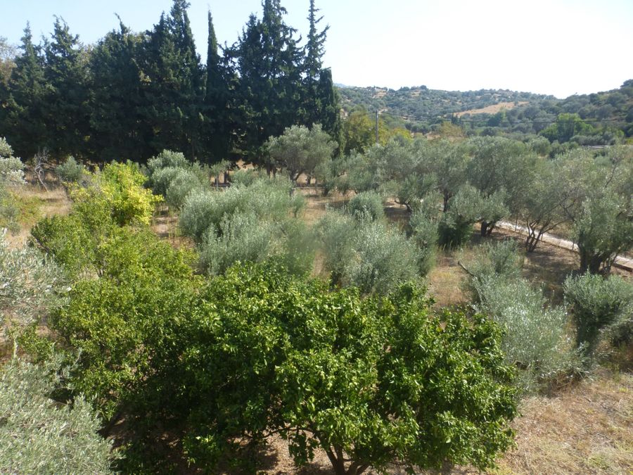 Photo 199172288