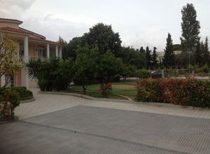 Detached House, Marousi