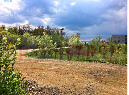 Снимка 200342768