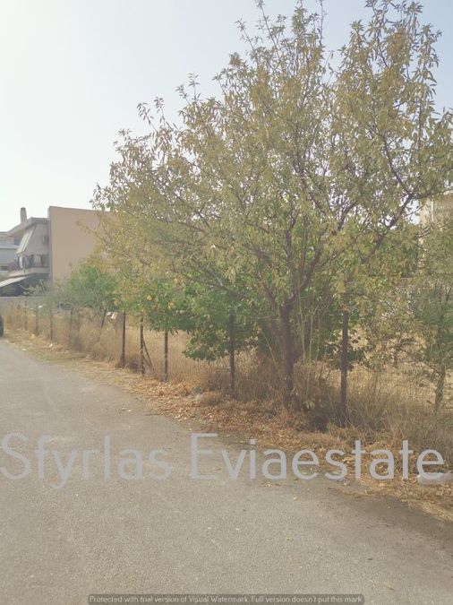 Photo 219498041