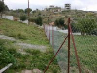 Plot Anthousa