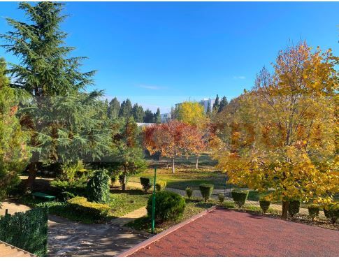 Снимка 221861963