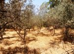 Photo 222910472