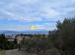 Sale, Other land properties, 13000m² Corfu, Melitieoi | 11849344 ...