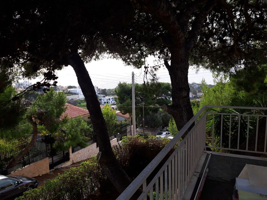 Photo 223148156