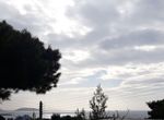 Photo 223151792