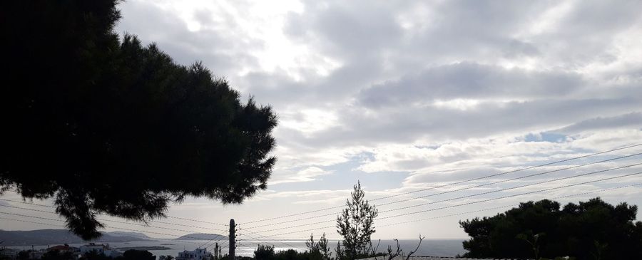 Photo 223151792