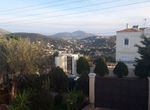 Photo 223259624