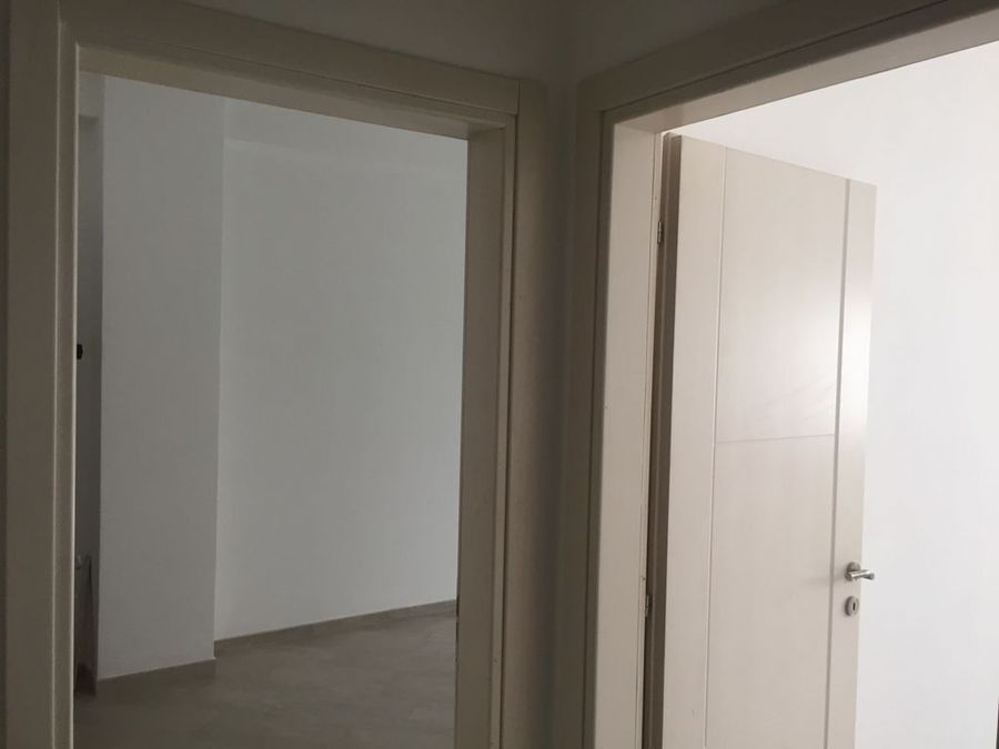 Photo 224310407