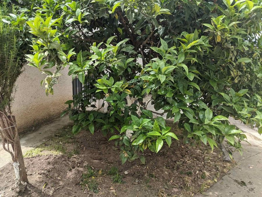 Photo 225328028