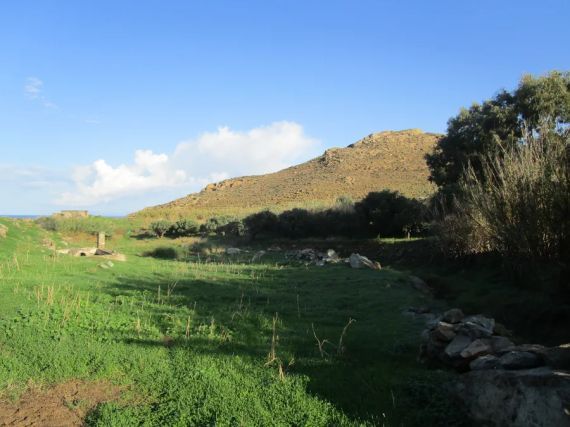Galini