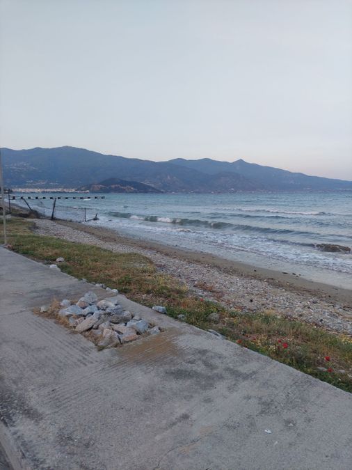 Photo 233225972