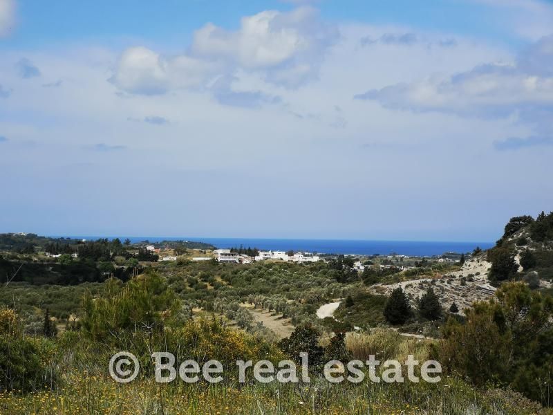 Farm parcel for sale, 32440sqm, 275,000€ Petaloudes Spiti24