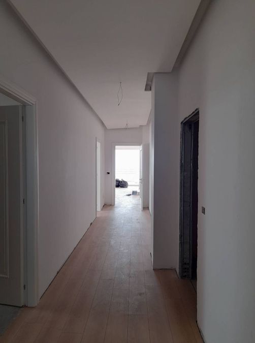 Photo 234377966