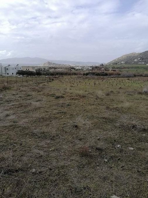 Mikri Vigla