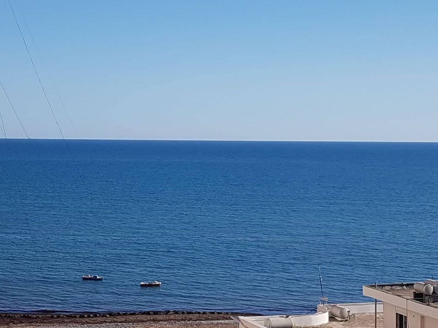 Photo 240313760
