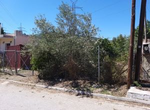 Plot Agios Nikolaos