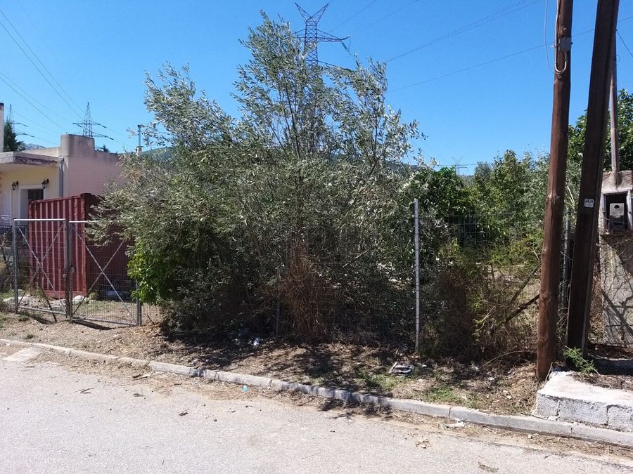 Plot Agios Nikolaos