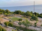 Fotografija 242034560