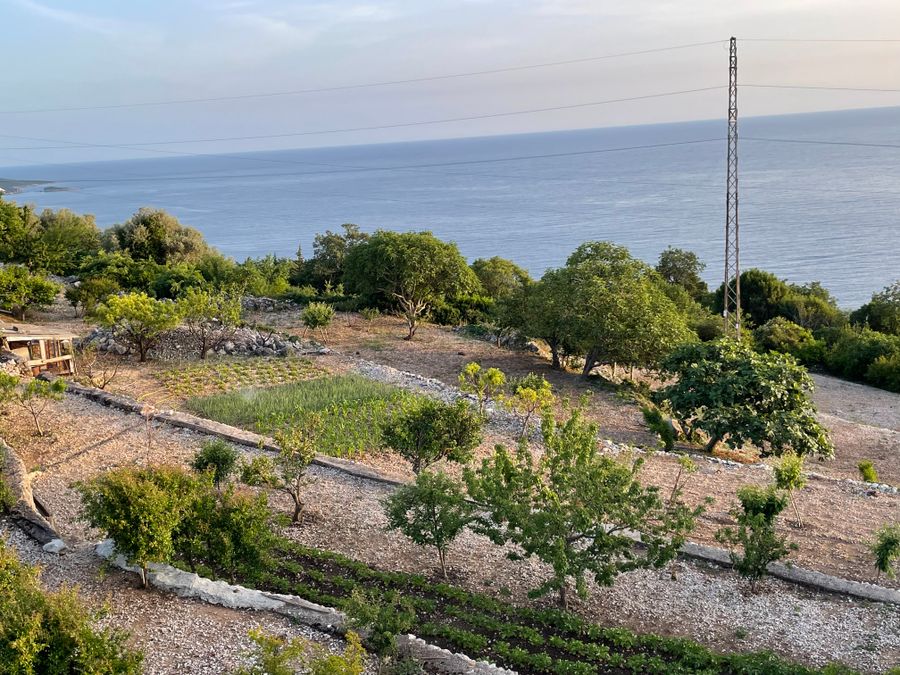 Fotografija 242034560