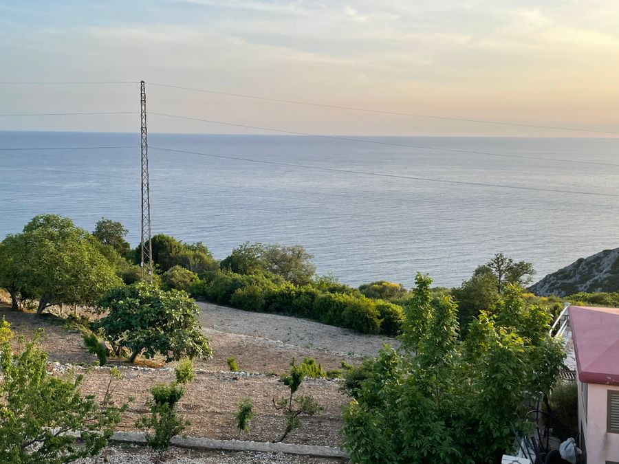 Fotografija 242034563