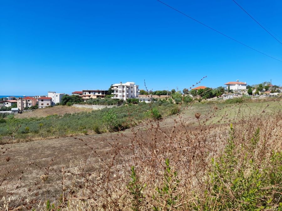 Photo 242362208