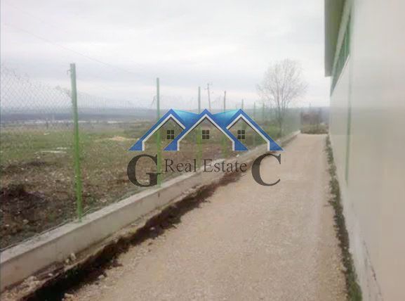 Снимка 242962346