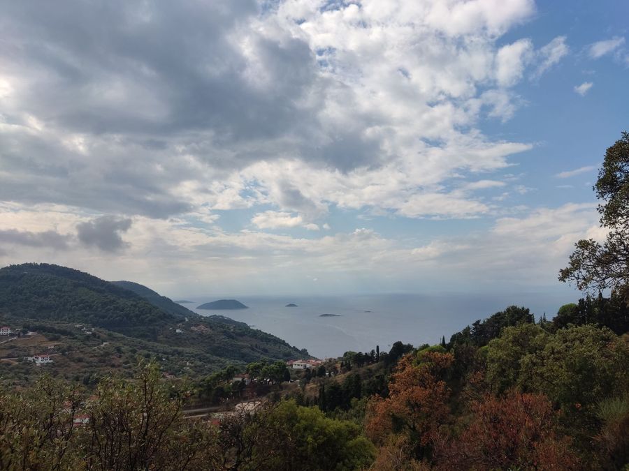 Photo 244984727