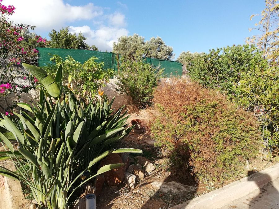 Foto 244995692